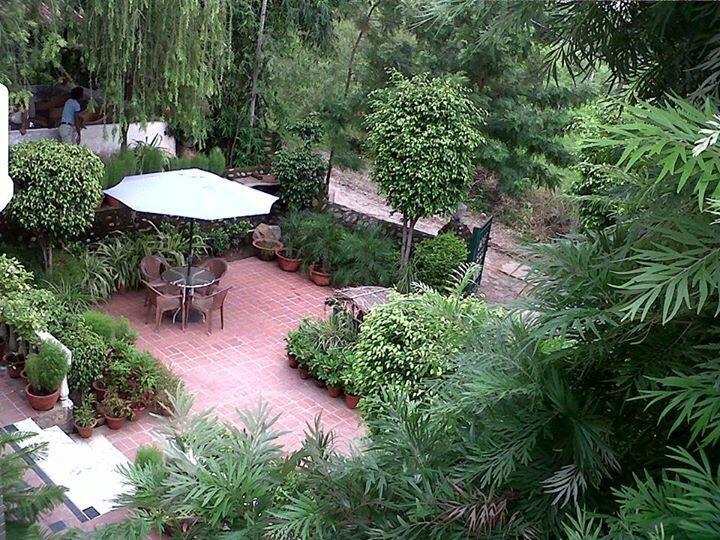 Siswan Jungle Lodge Baddi Exterior photo